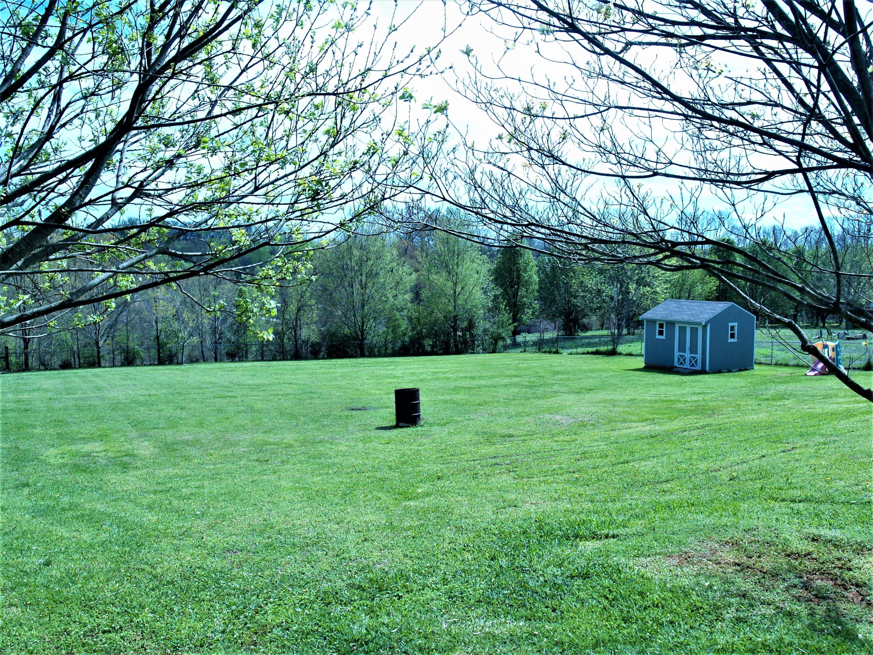 3851 Big Springs Ridge Road Friendsville, TN 37737 - Photo 29 of 32 Rear Yard White Dogwood