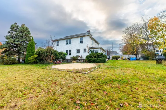 a view of a yard with plants and large trees