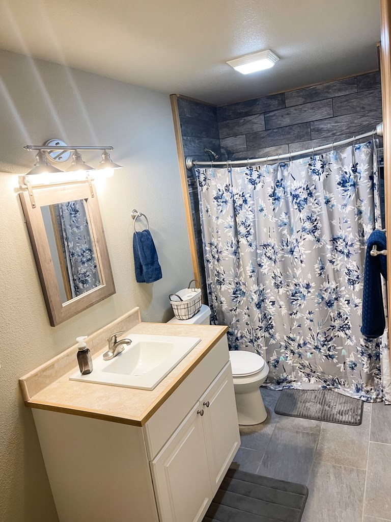 65 Rhubarb Lane Murphy, NC 28906 - Photo 12 of 12 a bathroom with a sink toilet and shower
