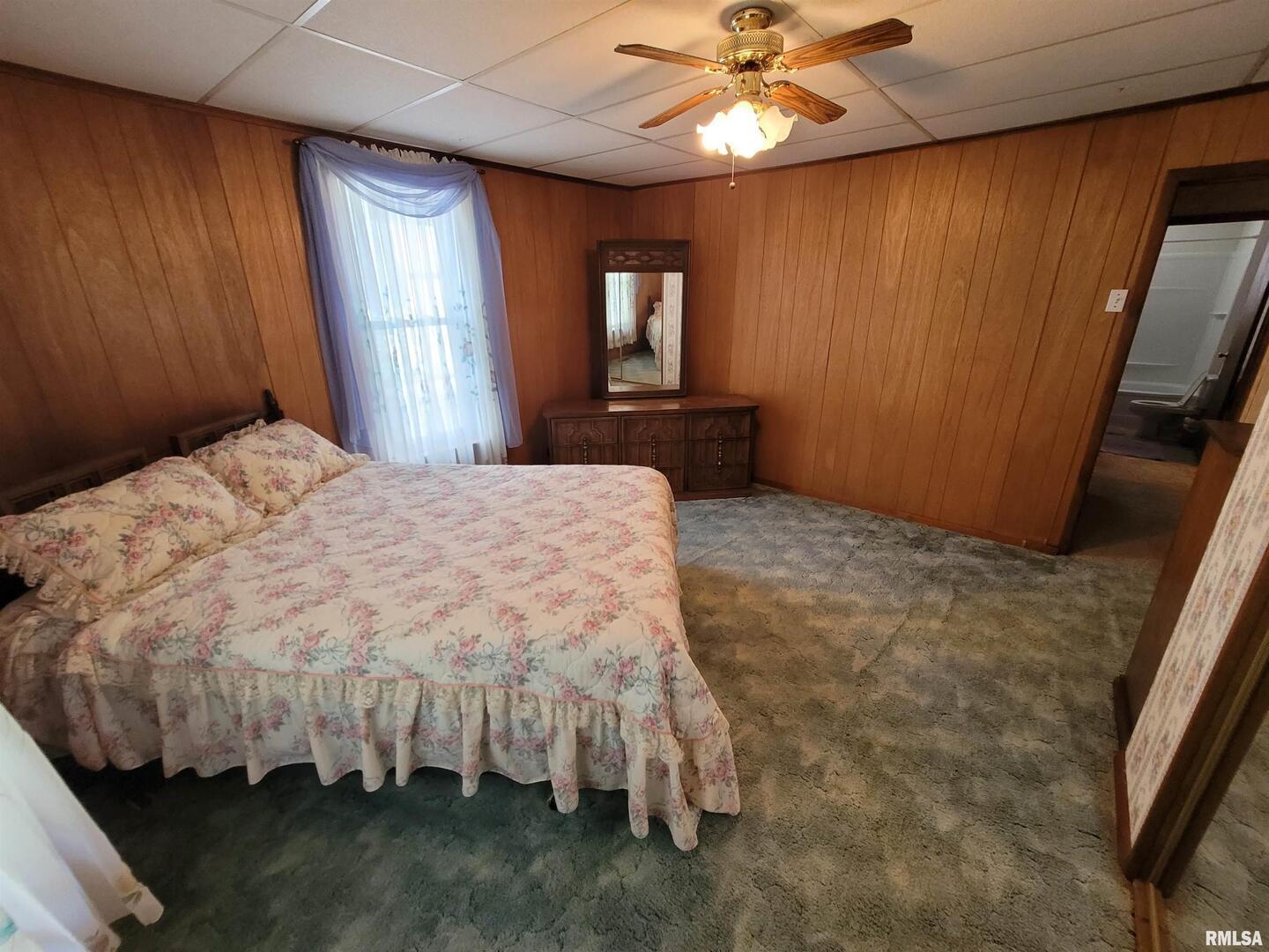 405 St Clair Street Odin, IL 62870 - Photo 17 of 45