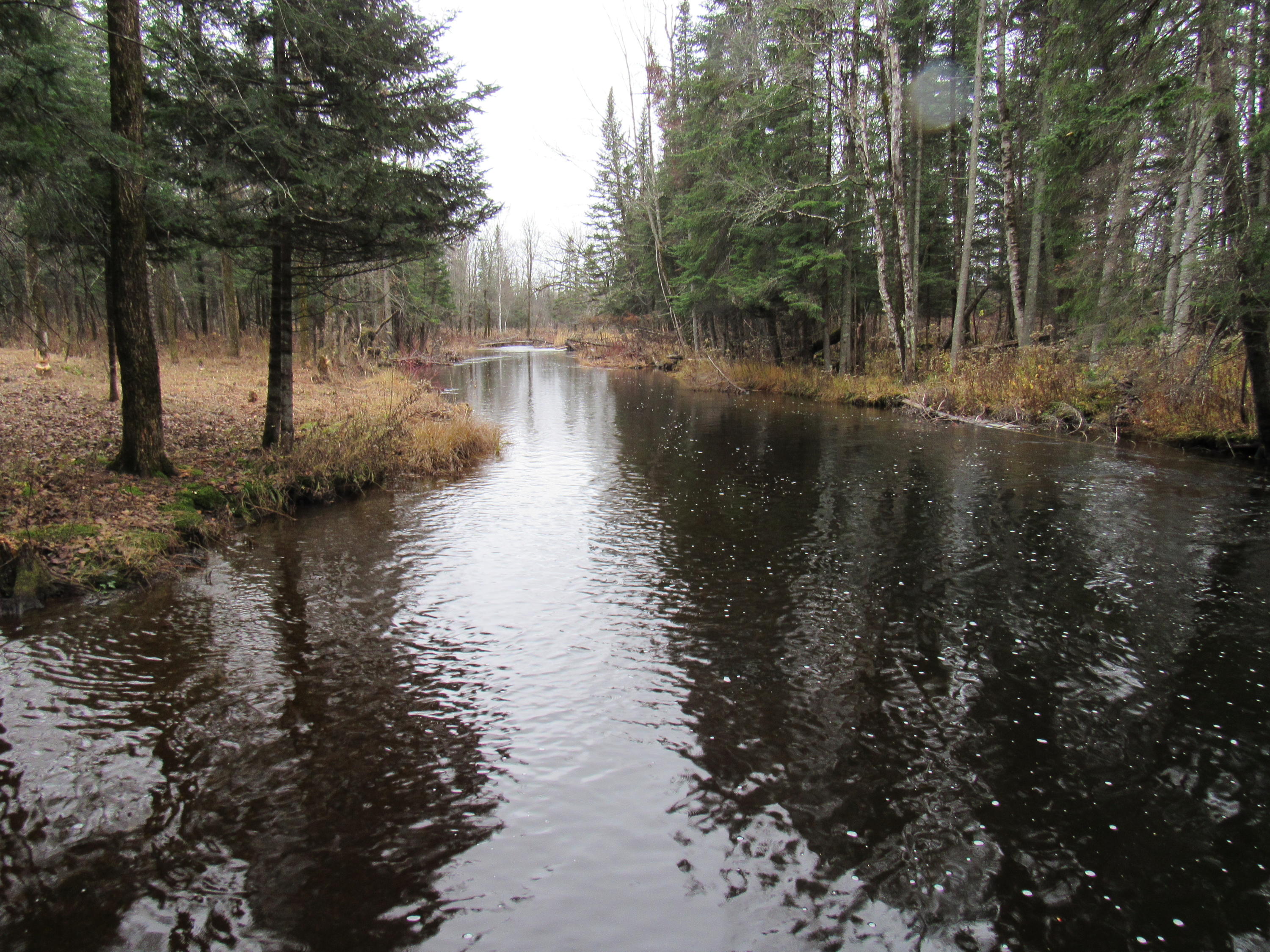 86 Heald Stream Road Jackman, ME 04945 - Photo 7 of 26 IMG_4562