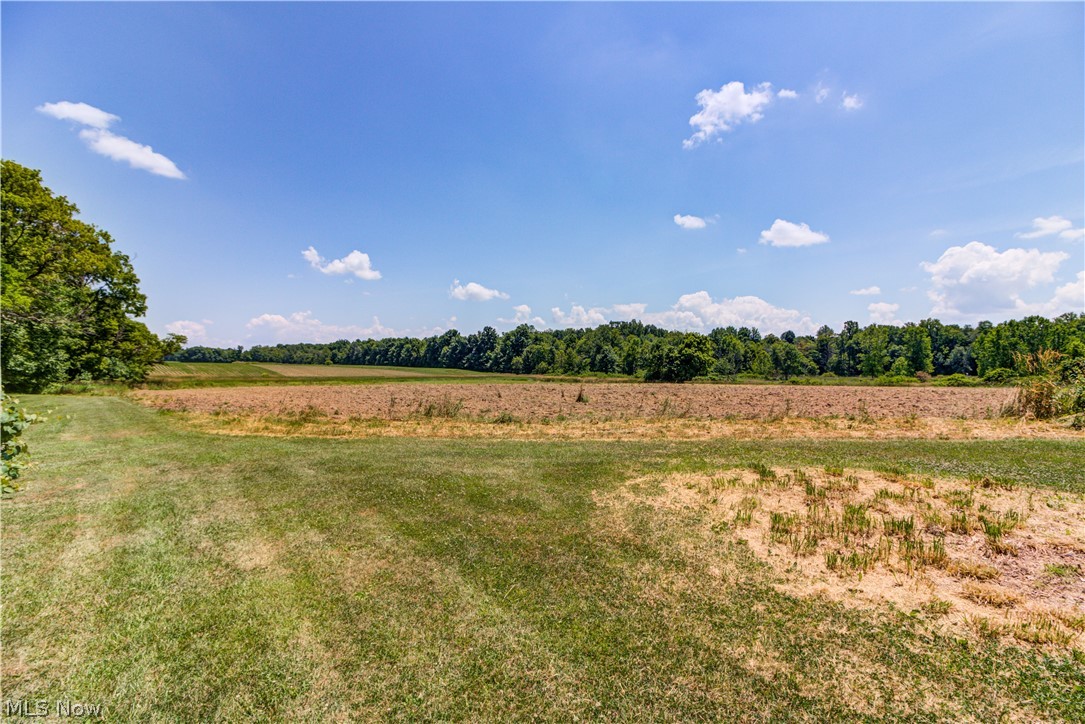 20871 Foster Road Wellington, OH 44090 - Photo 7 of 35 Gallery Image 7