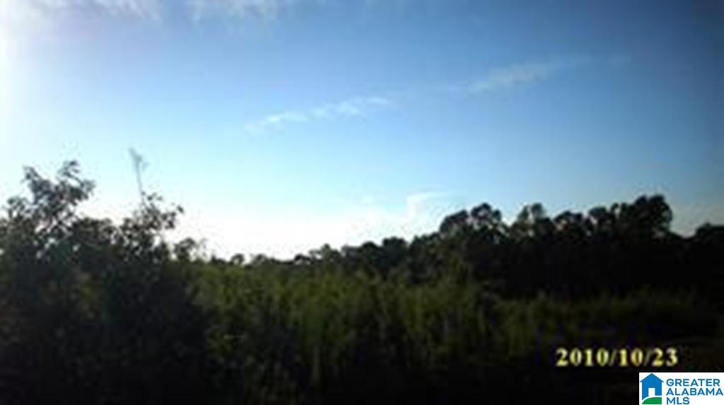 Eureka Road, Unit 1 Lincoln, AL 35096 - Photo 26 of 34