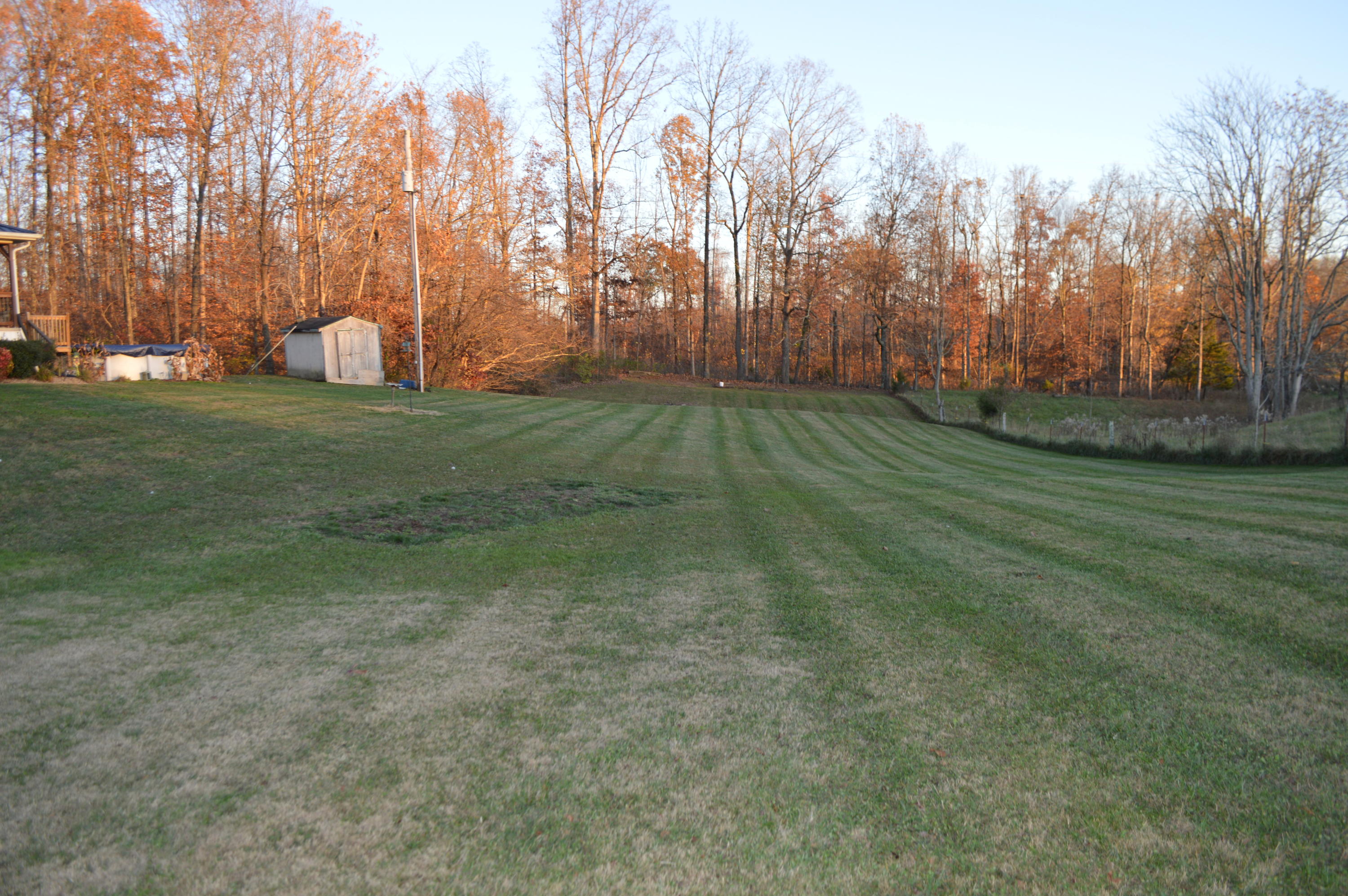 770 Old Hall Road Chuckey, TN 37641 - Photo 24 of 25 DSC_0132