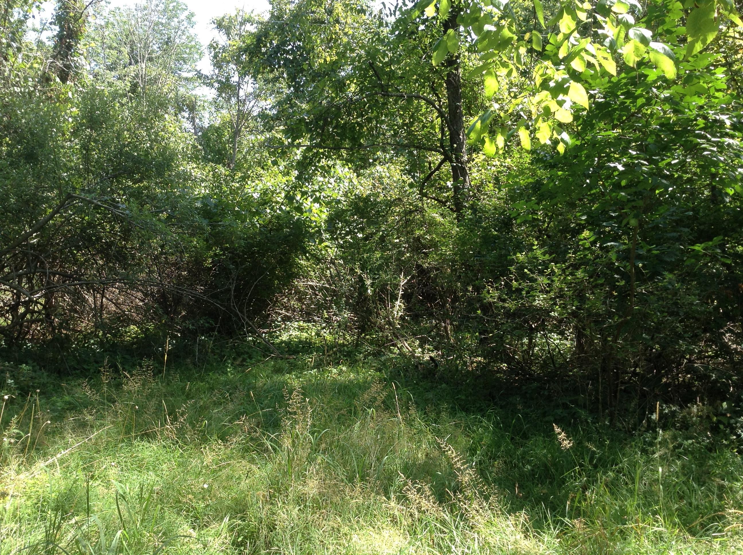 0 Arrowhead Road Powell, OH 43065 - Photo 2 of 2