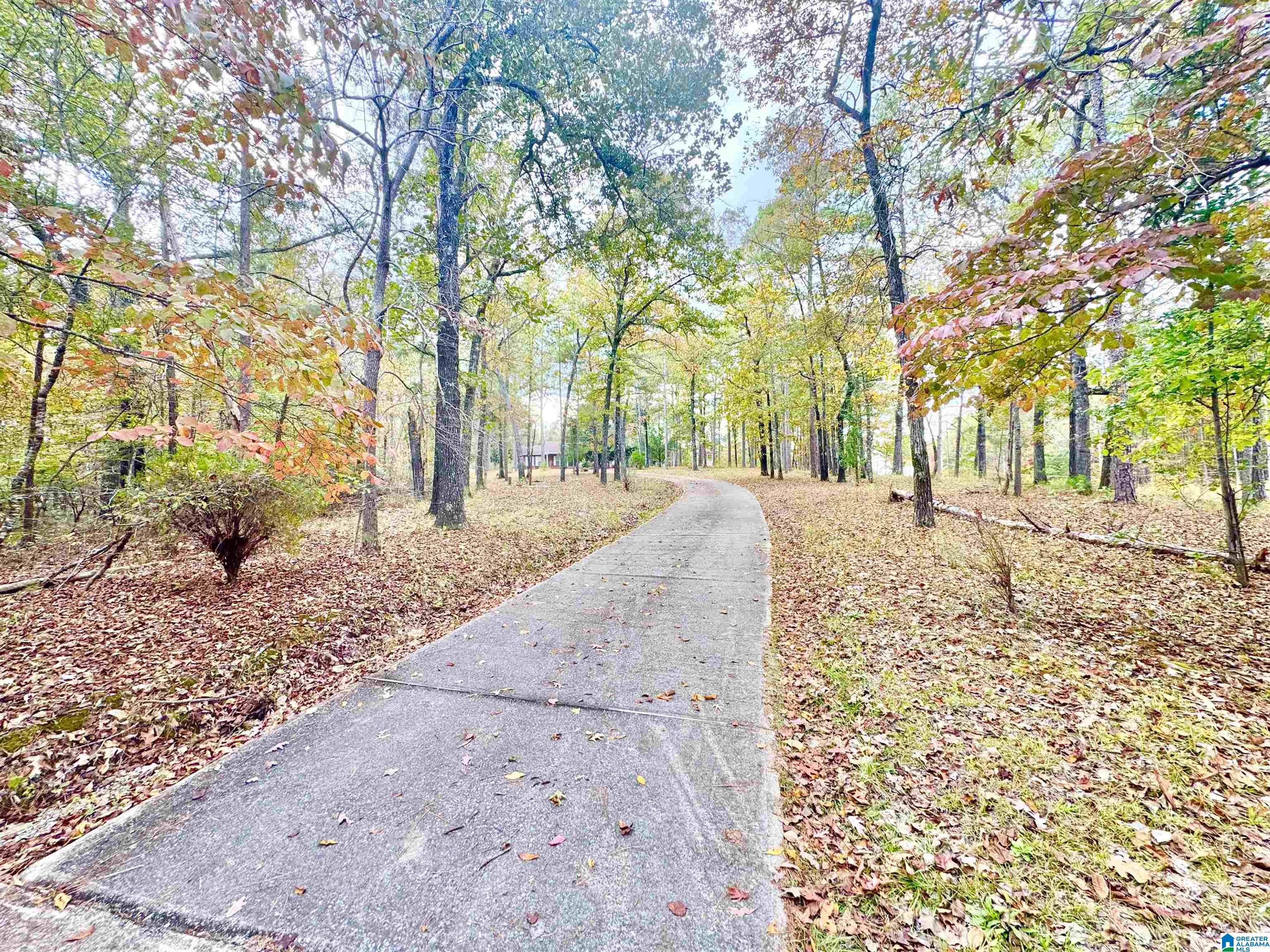 3305 New County Line Road Sylacauga, AL 35151 - Photo 3 of 56 Gallery Image 3