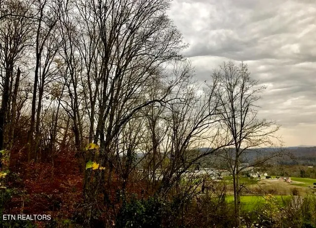 $49,900 | Lot 93 Swan Song Trail, Sharps Chapel, TN 37866