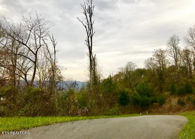 $49,900 | Lot 93 Swan Song Trail, Sharps Chapel, TN 37866