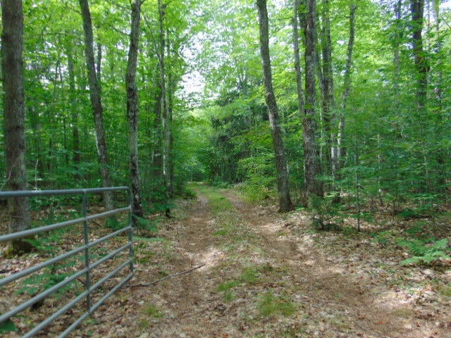 11680 Fossitt Road Newberry, MI 49868 - Photo 3 of 17 Gallery Image 3