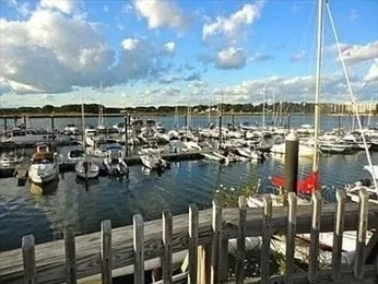 a view of a swimming pool with a yard