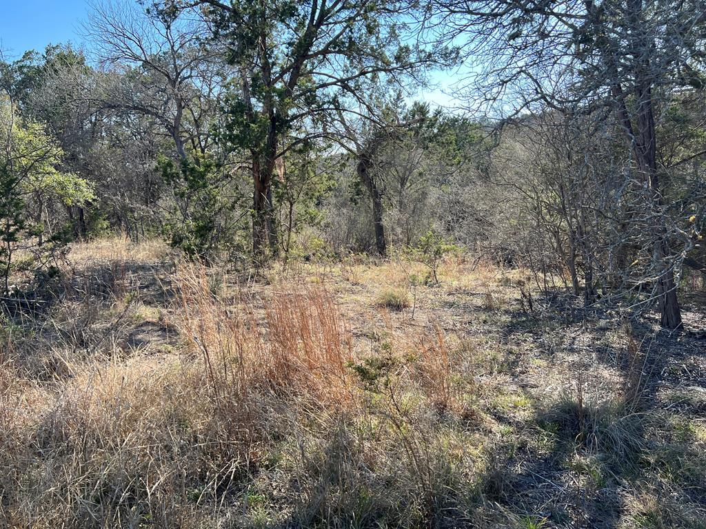 191 Scott Drive Center Point, TX 78010 - Photo 8 of 31