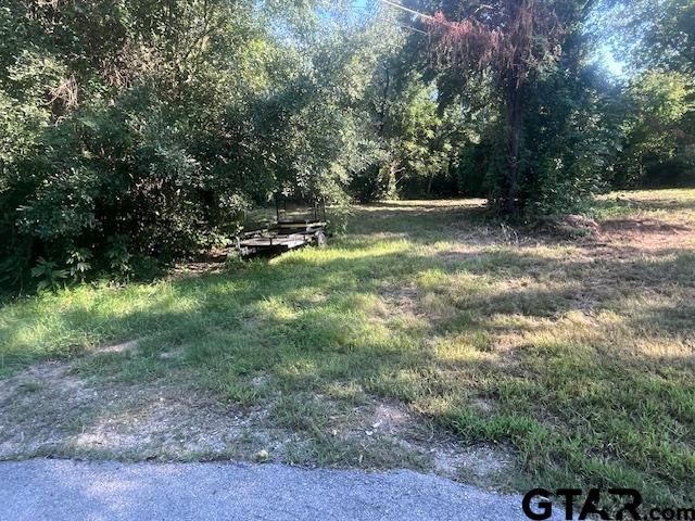 a view of outdoor space and yard