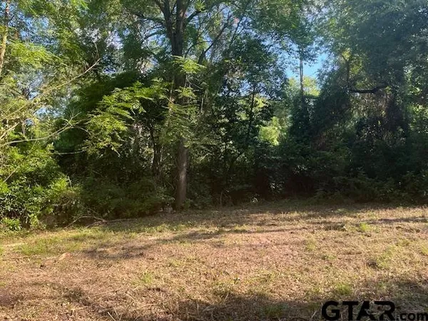 a view of backyard with green space