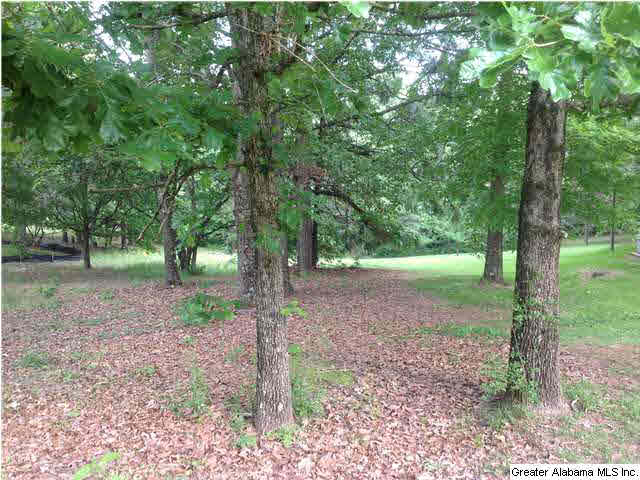 South Shades Crest Road Helena, AL 35022 - Photo 2 of 4