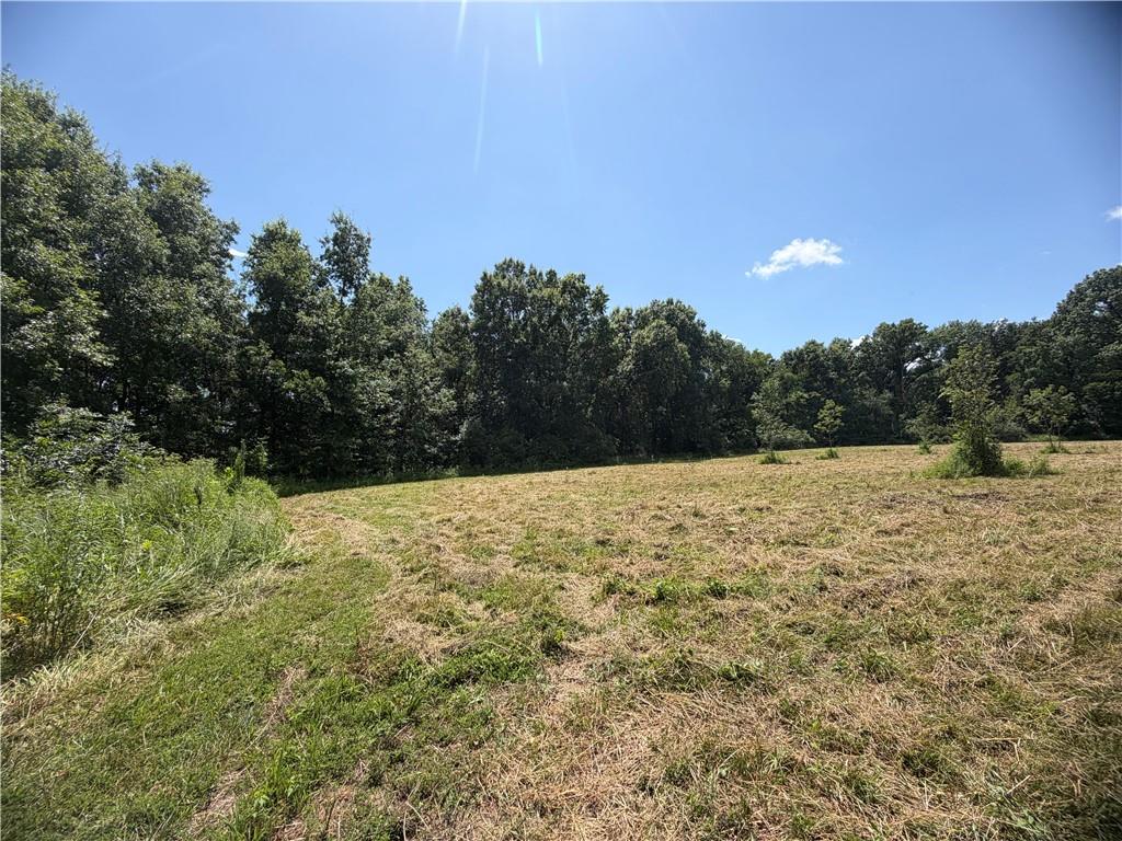 Tbd Campbell Road Knob Noster, MO 65336 - Photo 47 of 88 Gallery Image 47