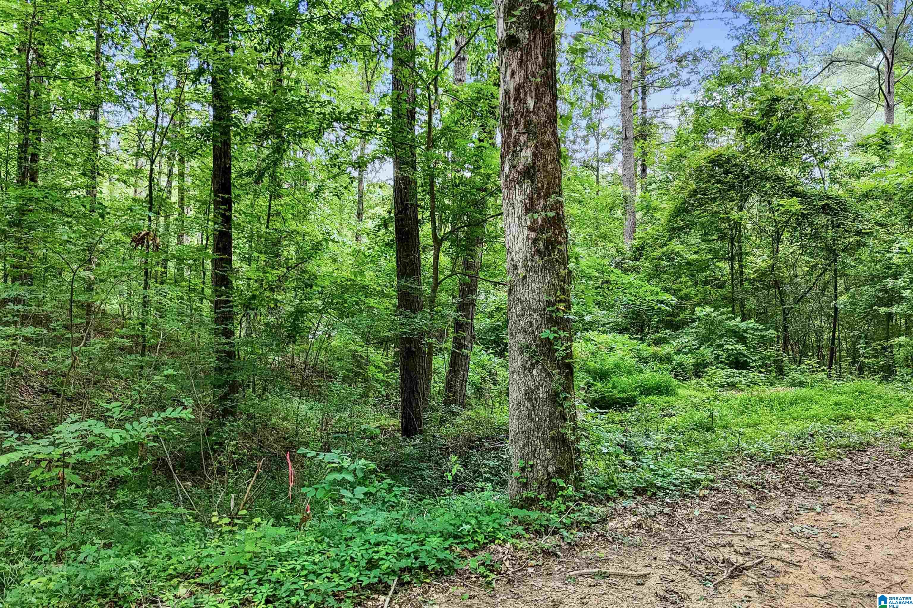 0 Red Oak Circle Helena, AL 35080 - Photo 4 of 21