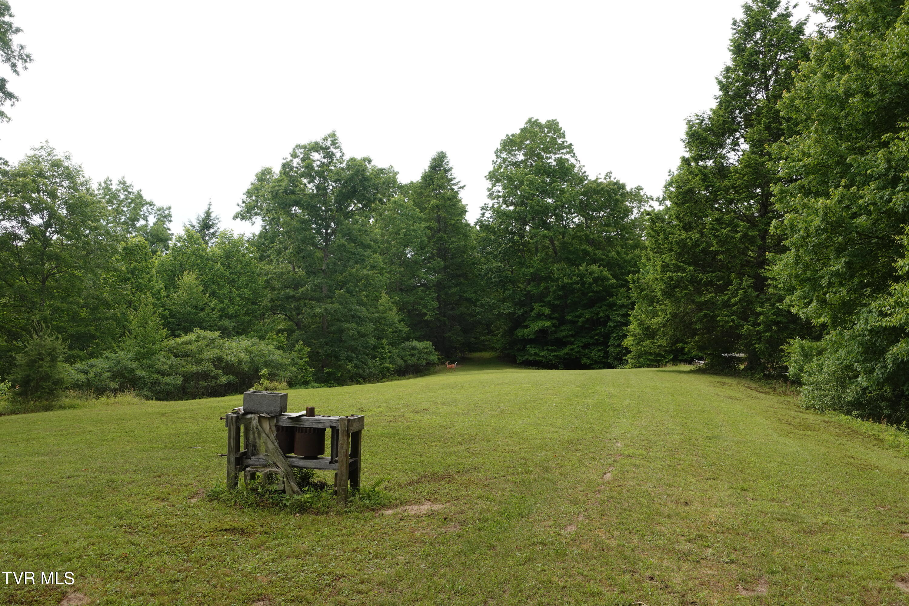 639 Dream Farm Road Birchleaf, VA 24220 - Photo 88 of 153 DSC00298