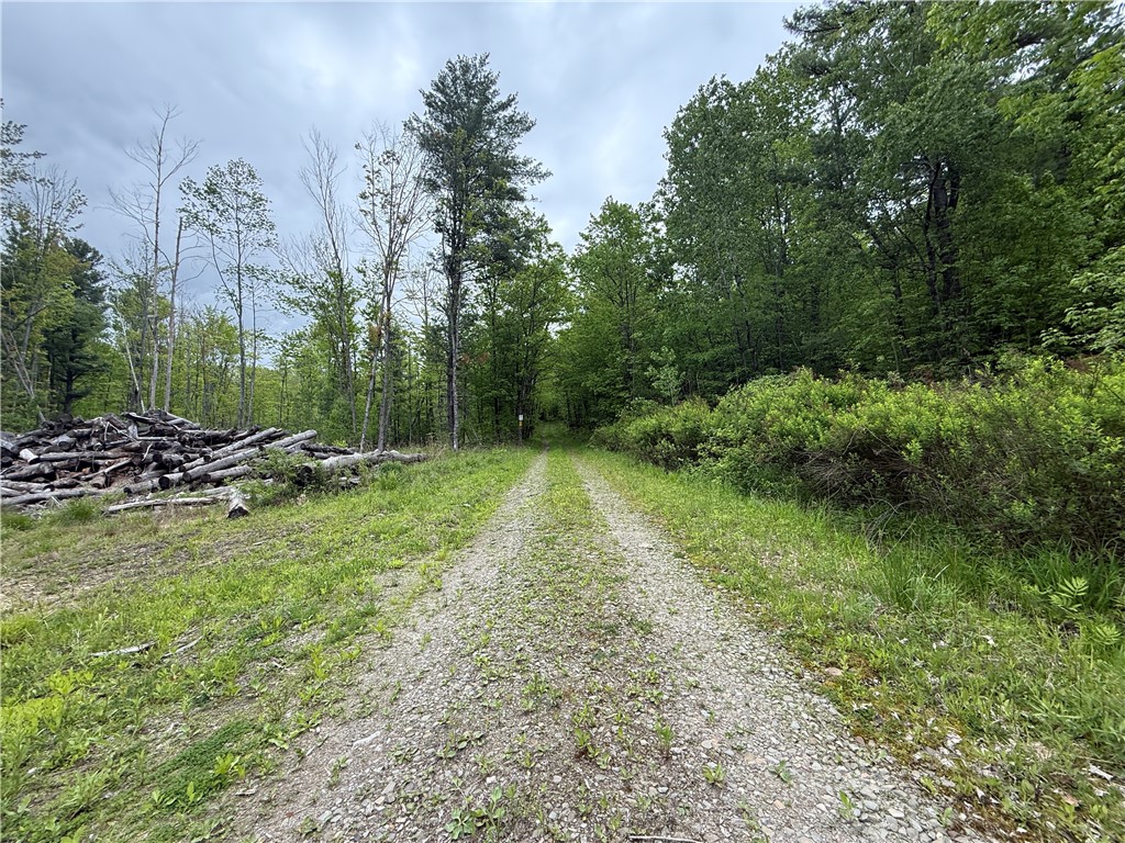 Hawley Road Bradford, NY 14815 - Photo 2 of 42
