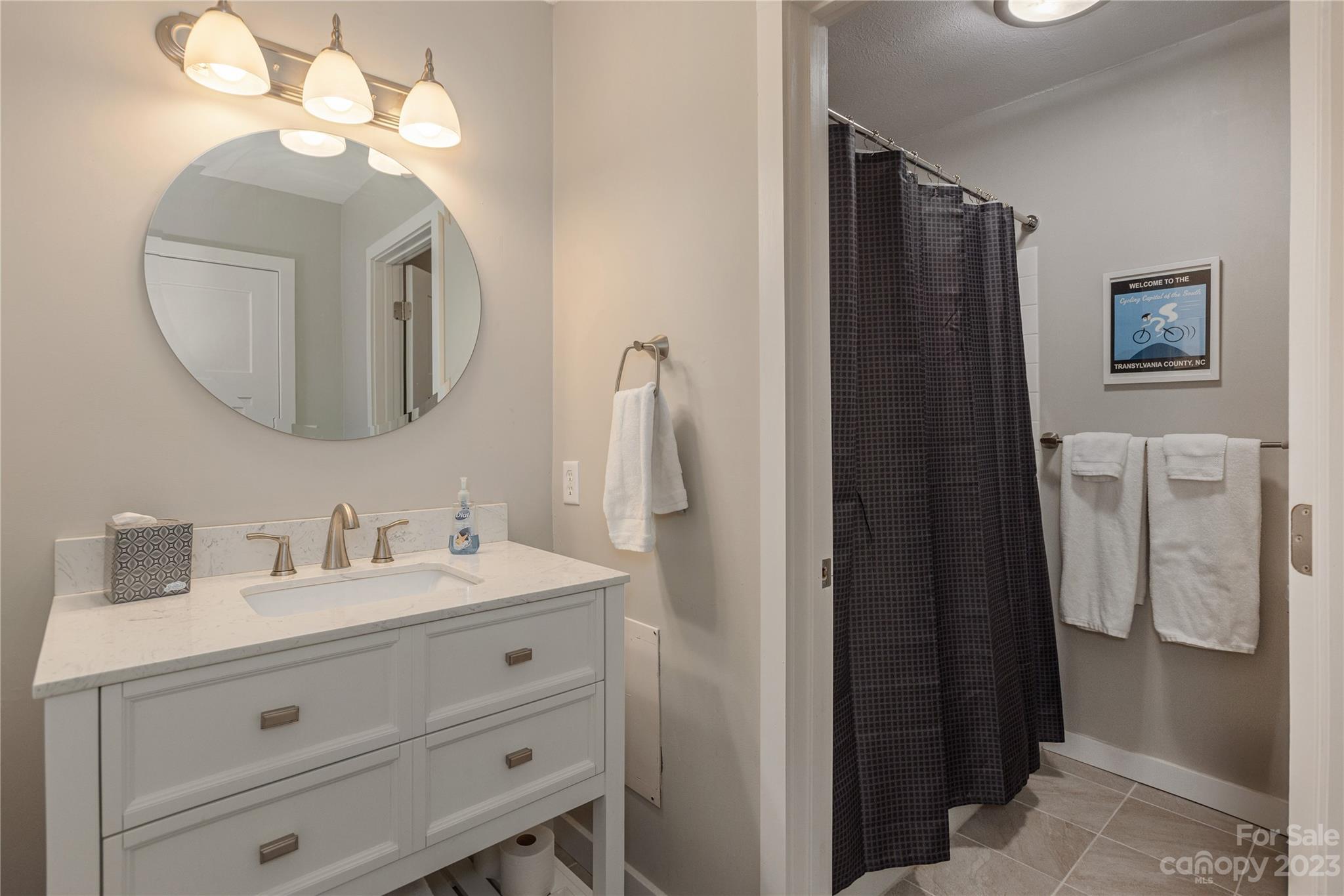 111 Shepard Square, Unit 608 Brevard, NC 28712 - Photo 11 of 13 a bathroom with a sink a mirror and a shower