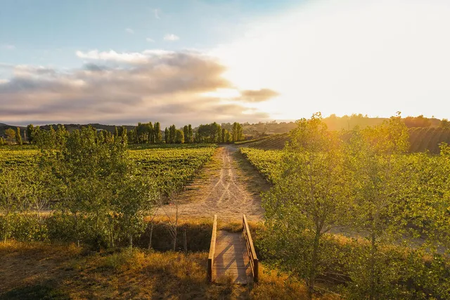 a view of ocean view
