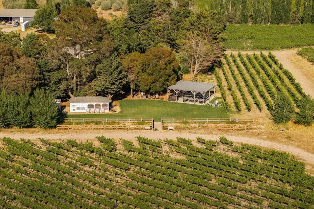 a view of a yard with swimming pool