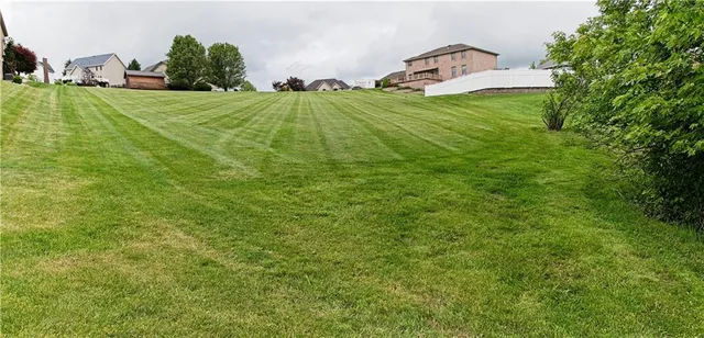 a view of a green field with some trees