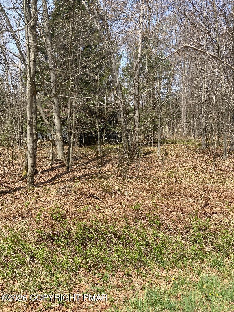 1413 Pine Cone Road Pocono Pines, PA 18350 - Photo 2 of 52 View from Road