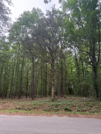 $59,900 | Tbd Pine Valley Drive, Edgefield, SC 29824
