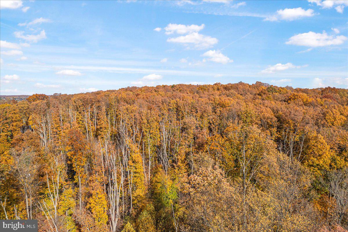 8245 Water Street Road Walkersville, MD 21793 - Photo 11 of 11