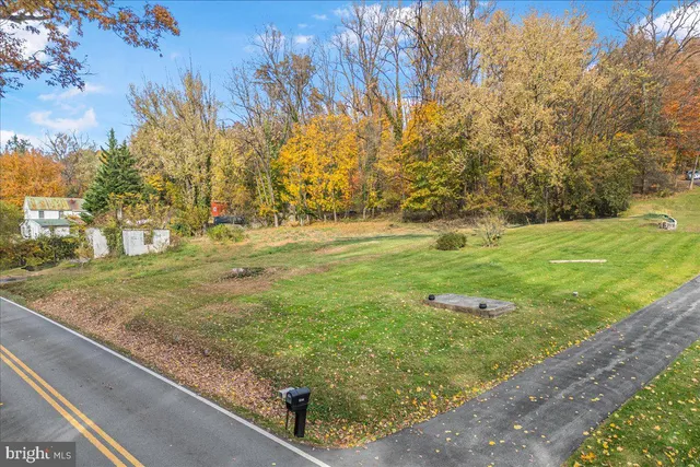a view of yard with large trees