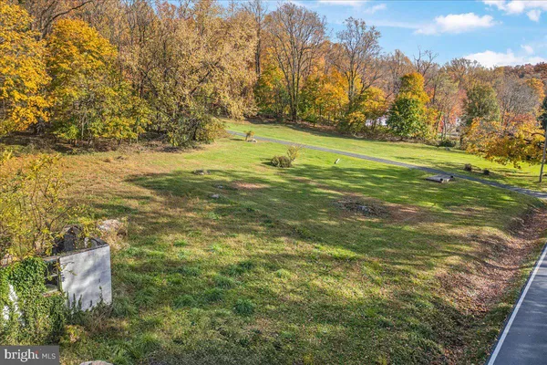 a view of a yard