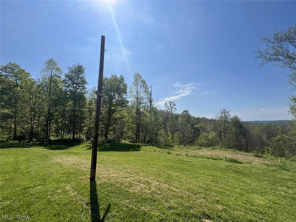 49250 Cowgill Road Summerfield, OH 43788 - Photo 40 of 44