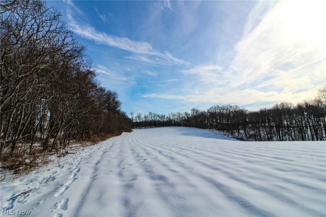 8176 Branch Road Amsterdam, OH 43903 - Photo 23 of 34 Gallery Image 23