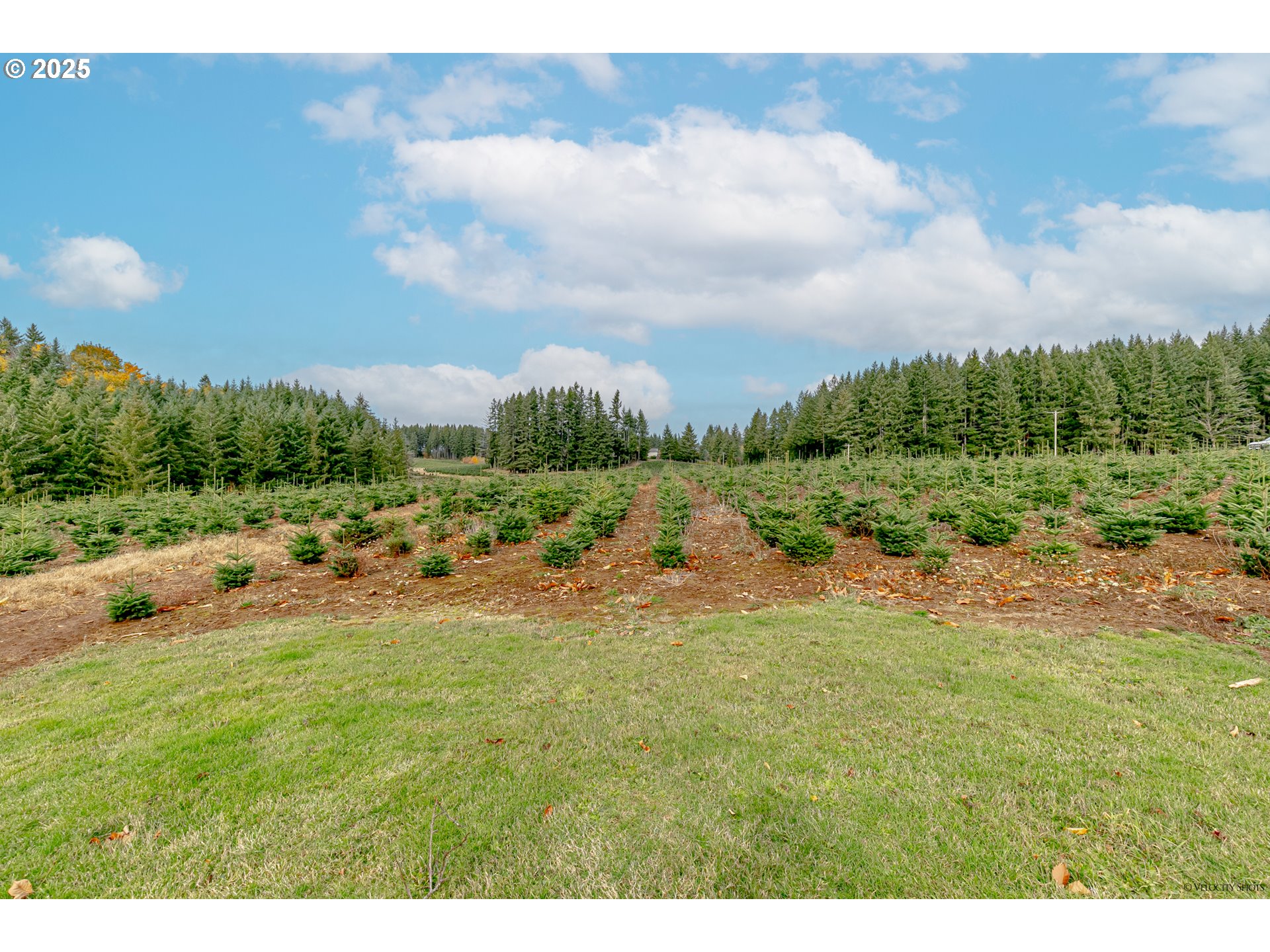 29795 Southeast Gruber Road Estacada, OR 97023 - Photo 35 of 45