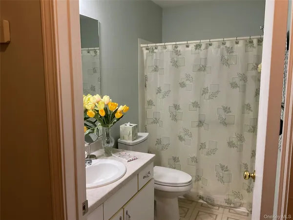a bathroom with a sink mirror vanity and toilet