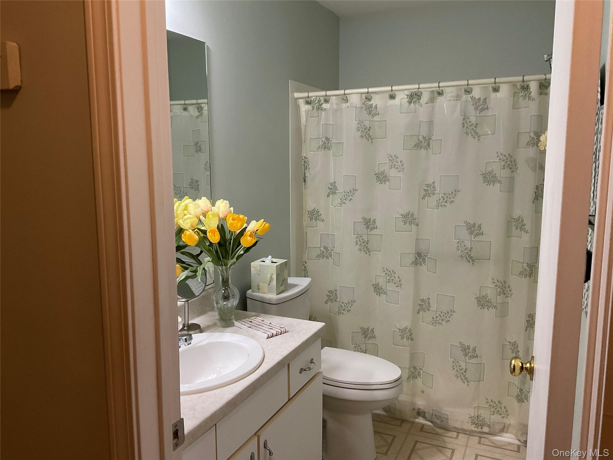 17 Tall Tree Lane Poughkeepsie, NY 12601 - Photo 17 of 31 a bathroom with a sink mirror vanity and toilet