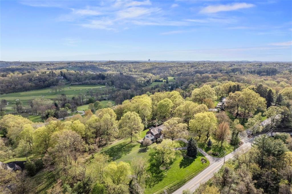 251 Fairview Road Pittsburgh, PA 15238 - Photo 49 of 49 Tremendous views in rear