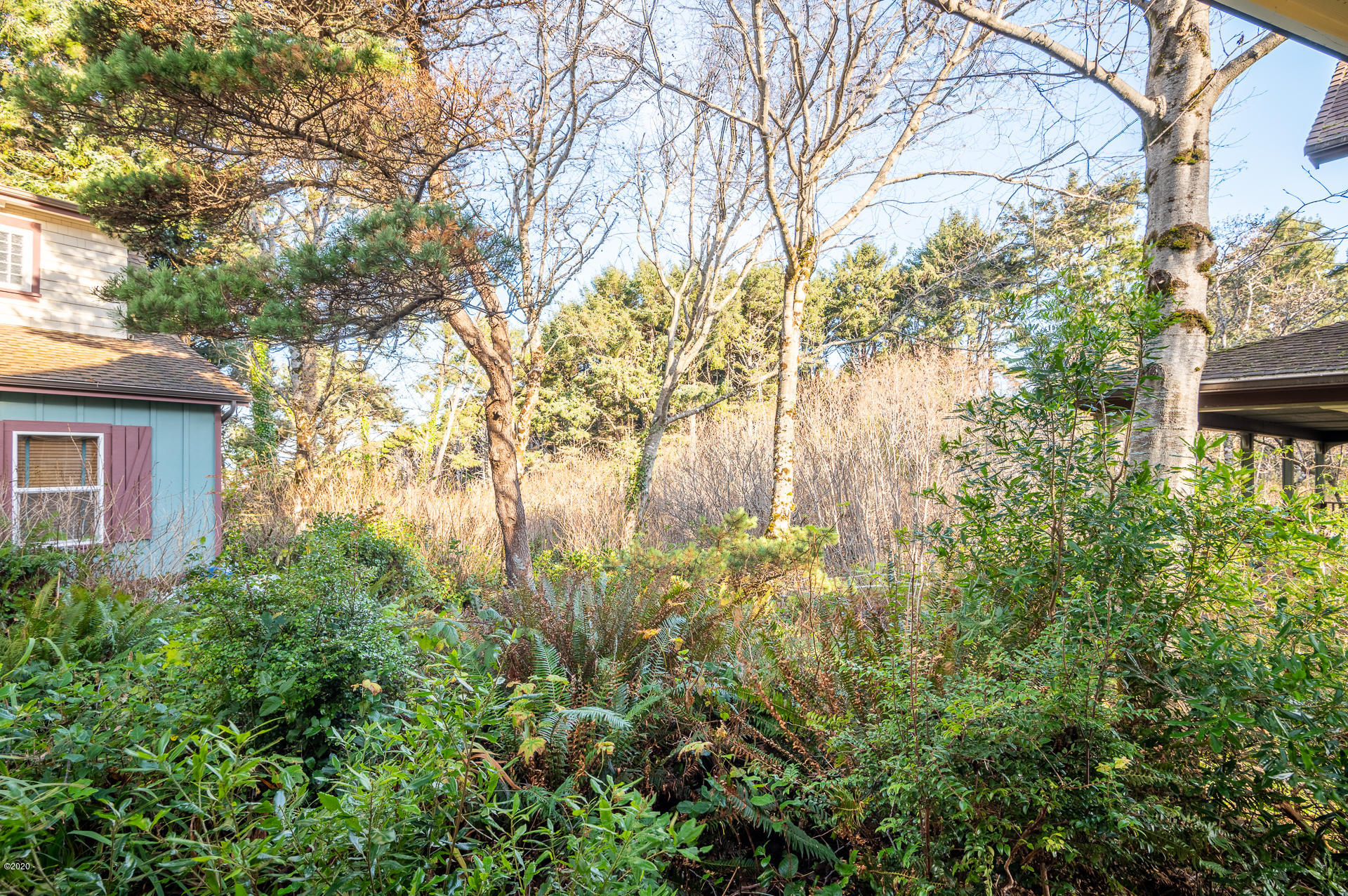 2100 Overleaf Loop Yachats, OR 97498 - Photo 16 of 51 View from back porch