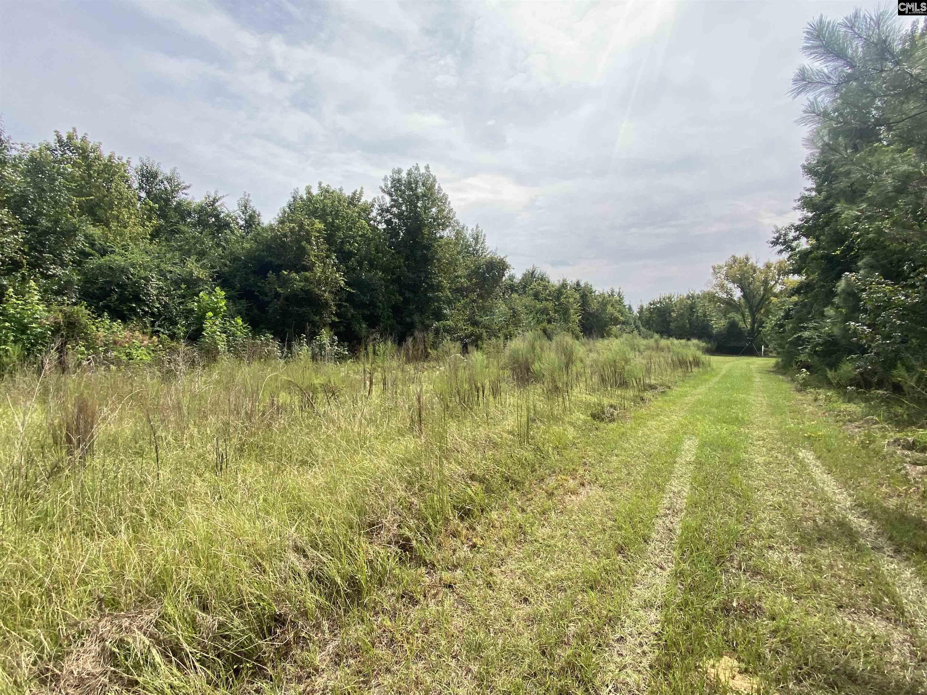 91 Shiver Road Rembert, SC 29128 - Photo 5 of 23