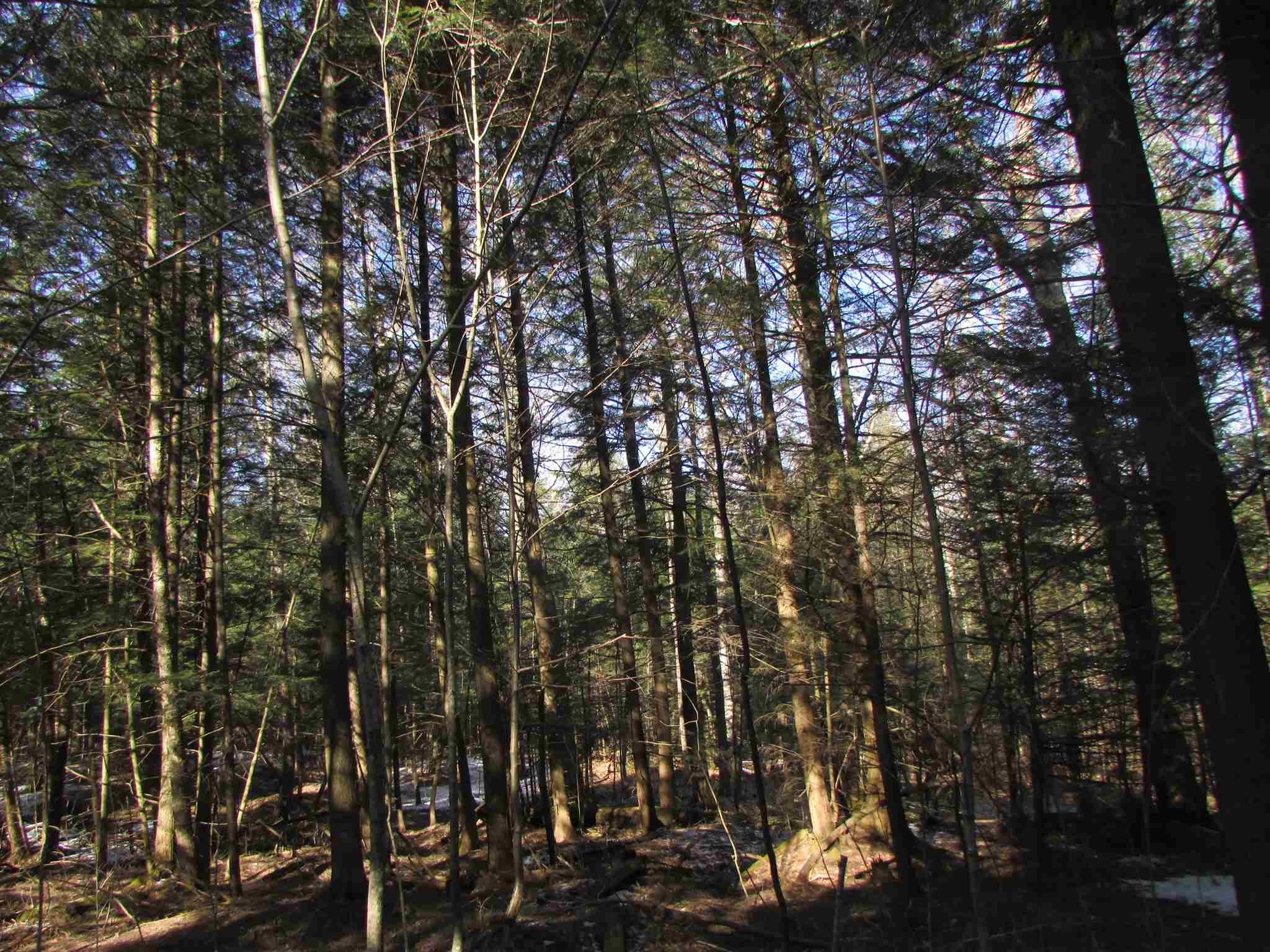 473 W Road Brownington, VT 05860 - Photo 11 of 20