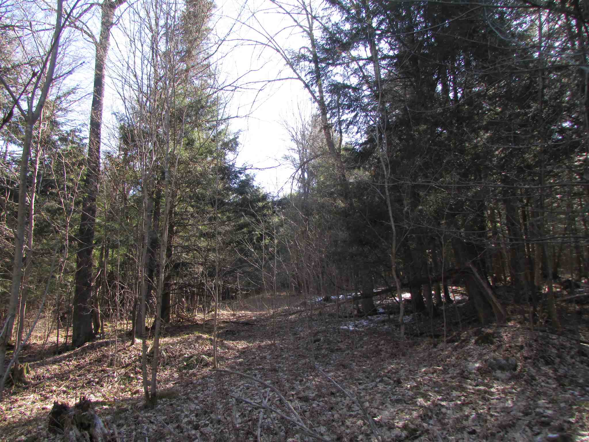 473 W Road Brownington, VT 05860 - Photo 12 of 20