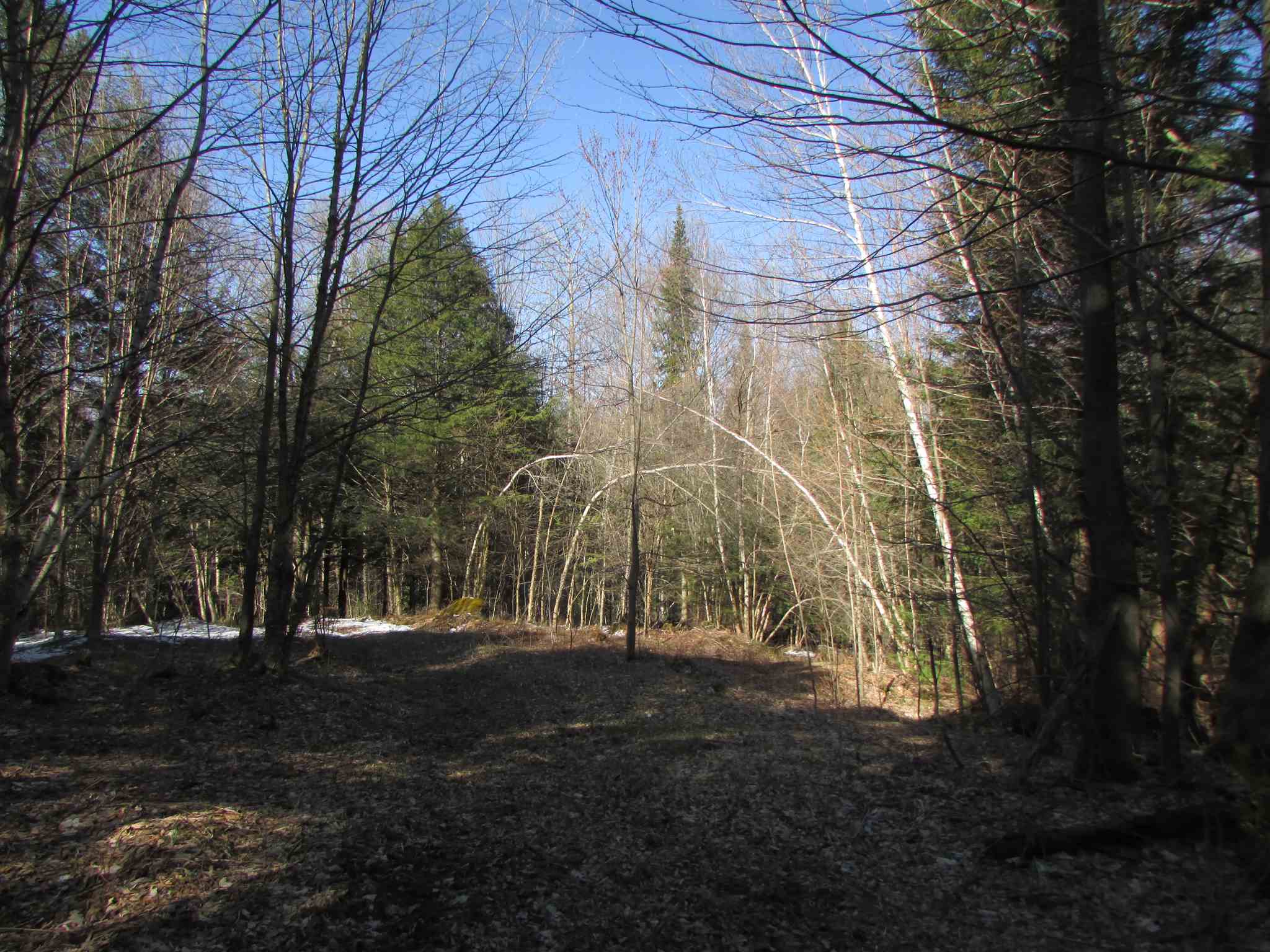 473 W Road Brownington, VT 05860 - Photo 13 of 20