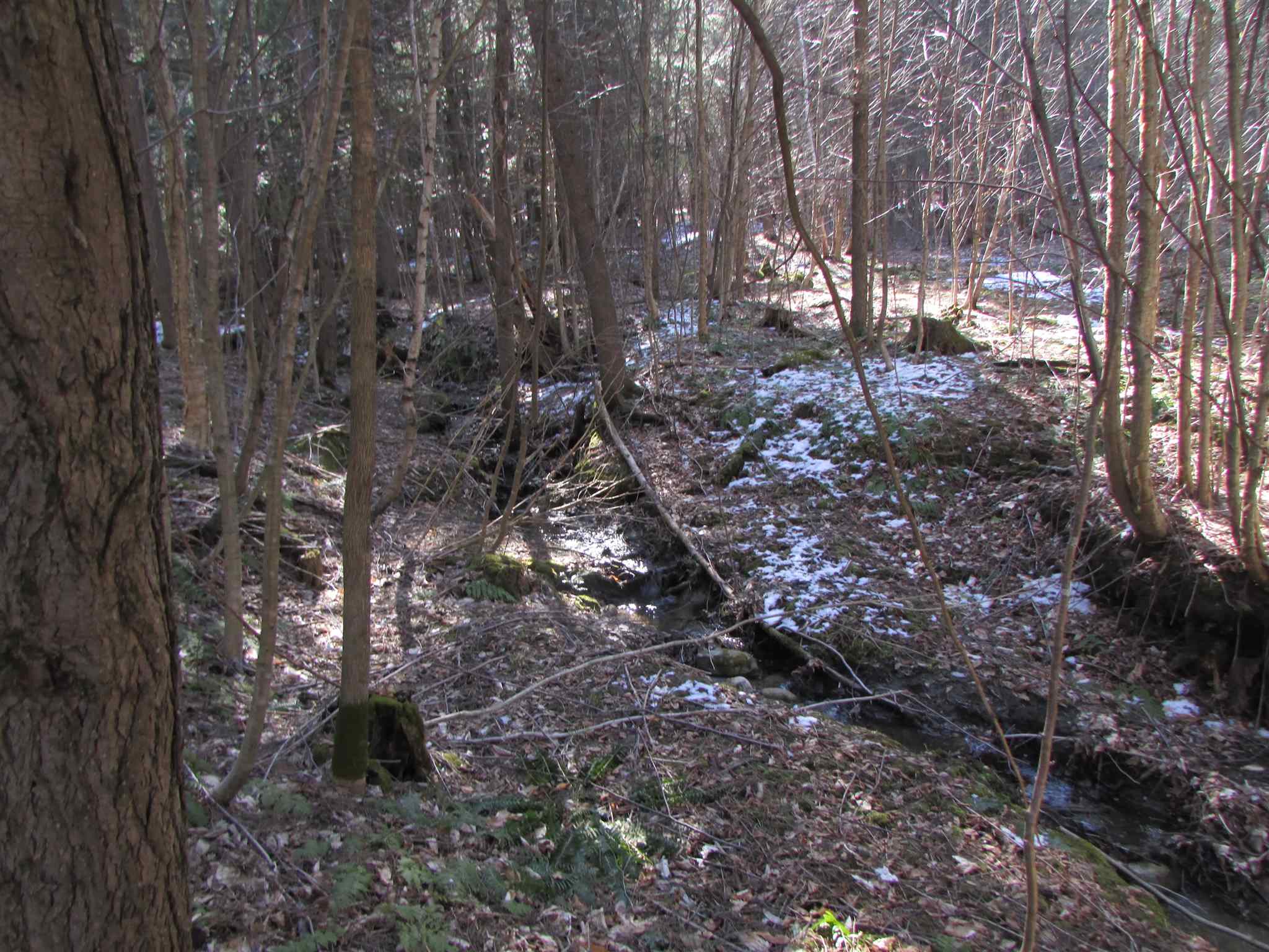473 W Road Brownington, VT 05860 - Photo 14 of 20