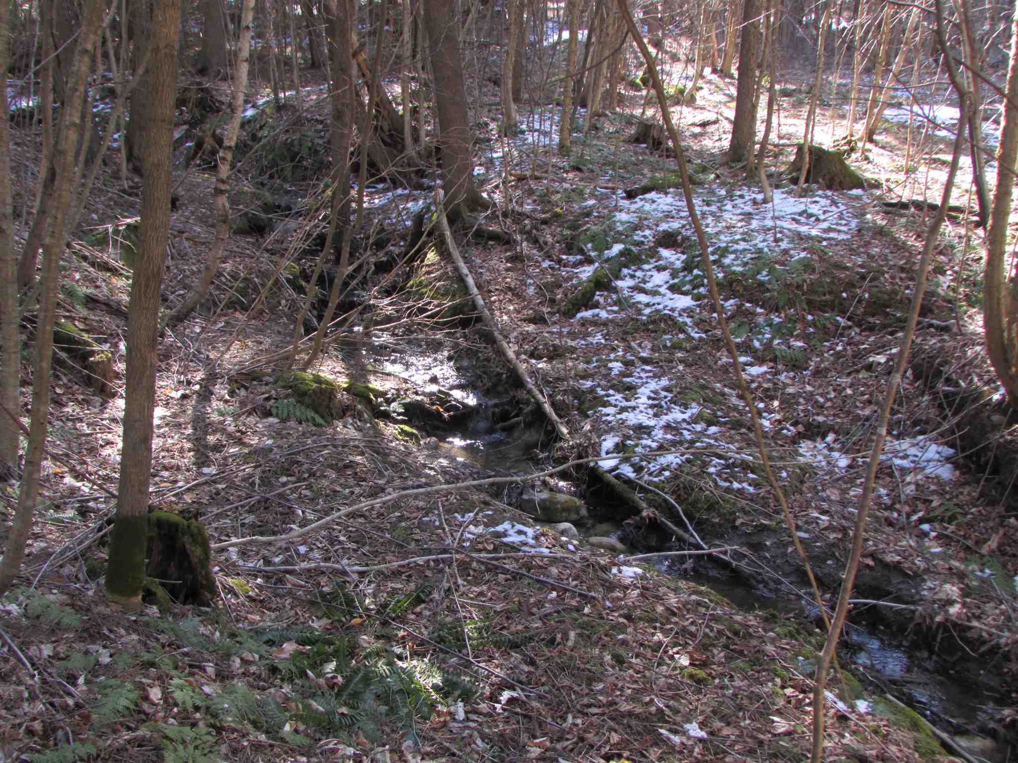 473 W Road Brownington, VT 05860 - Photo 15 of 20