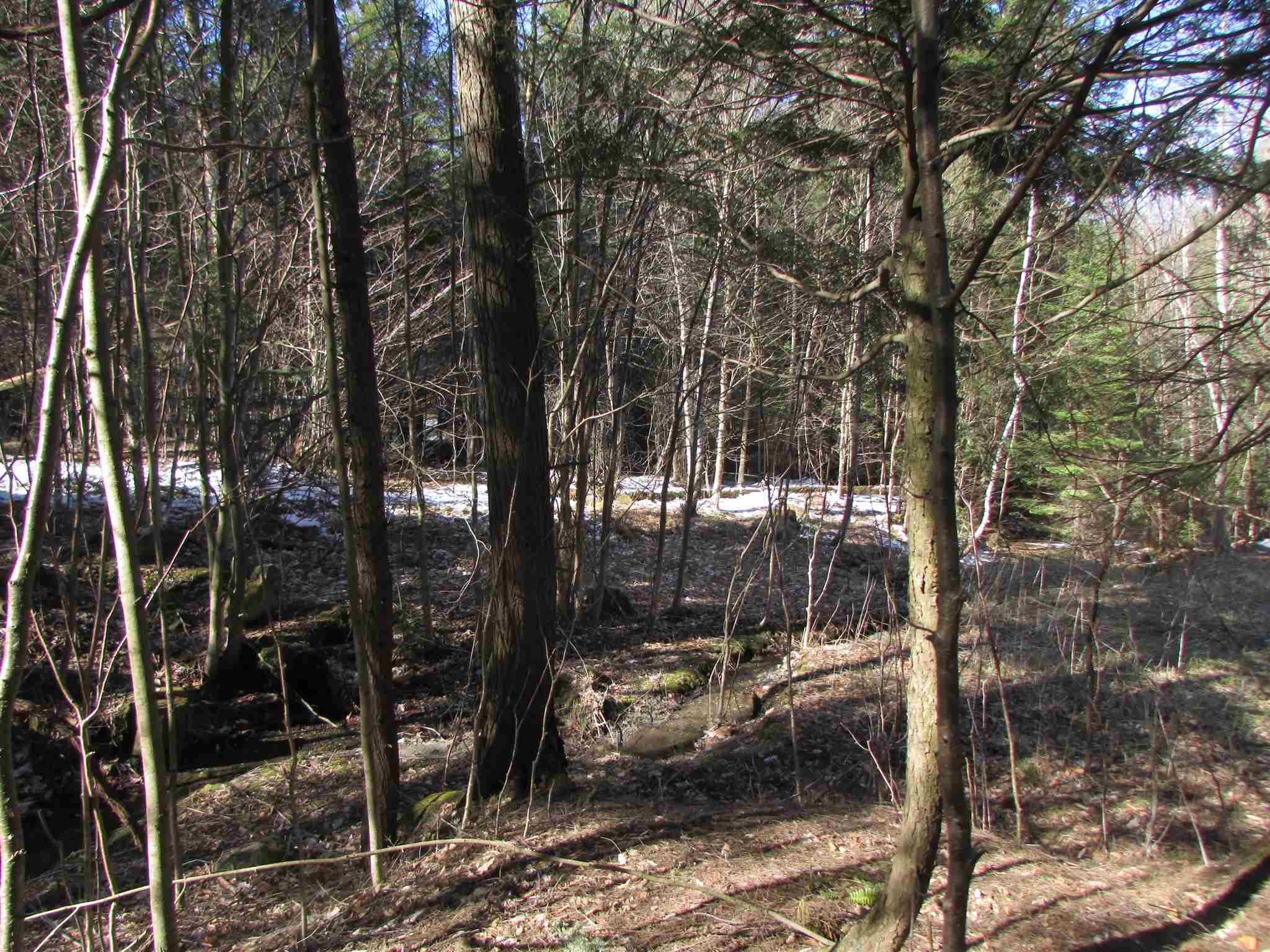 473 W Road Brownington, VT 05860 - Photo 16 of 20