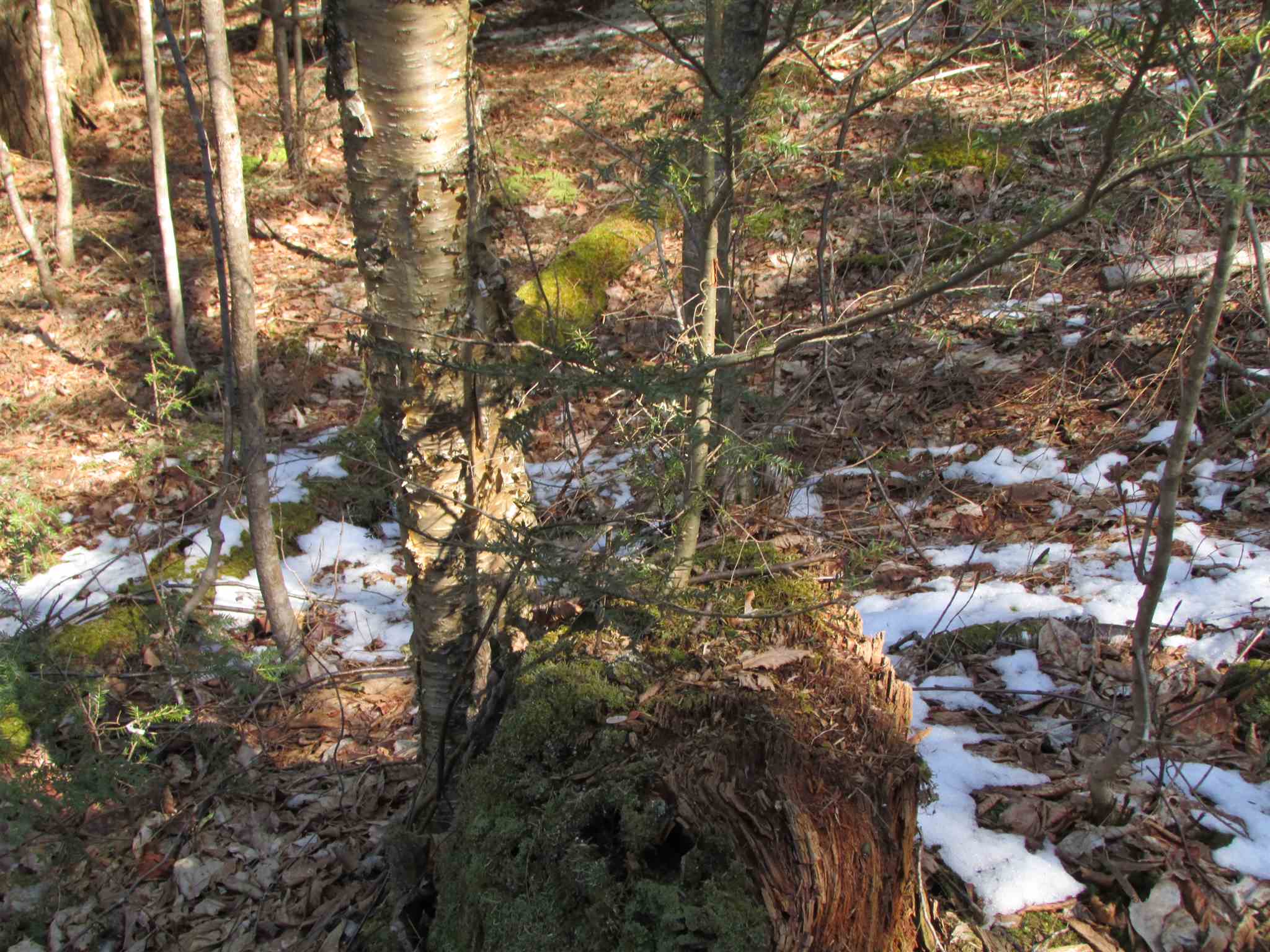 473 W Road Brownington, VT 05860 - Photo 17 of 20
