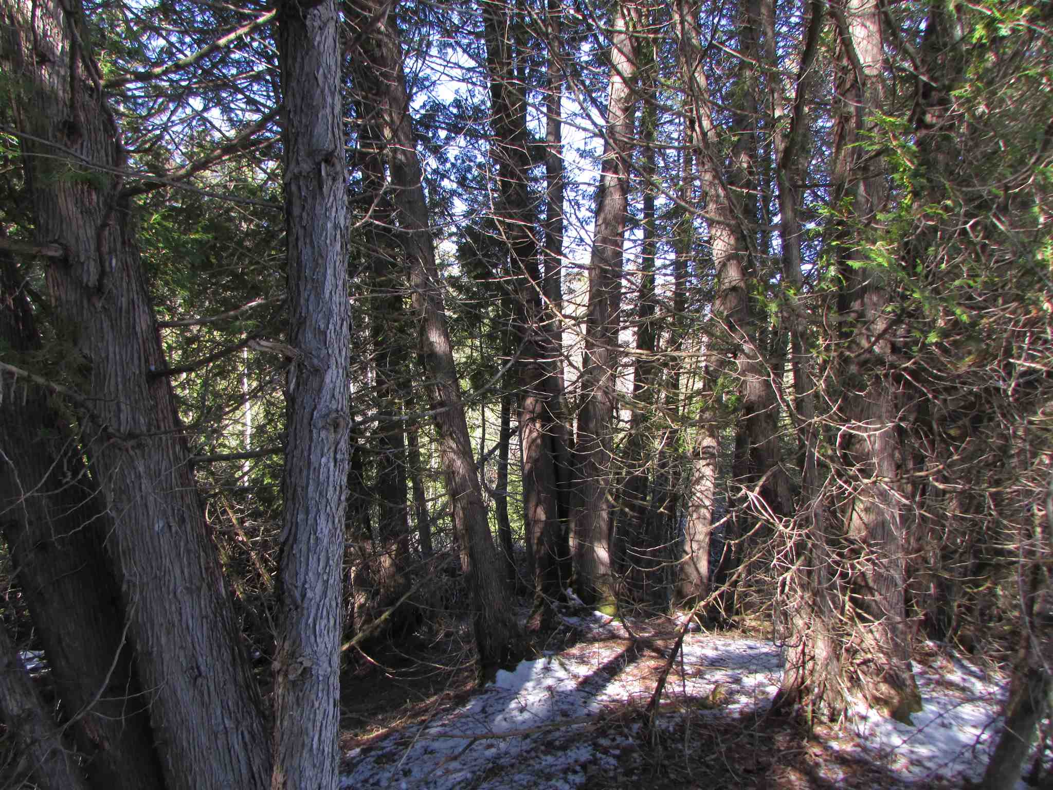 473 W Road Brownington, VT 05860 - Photo 18 of 20
