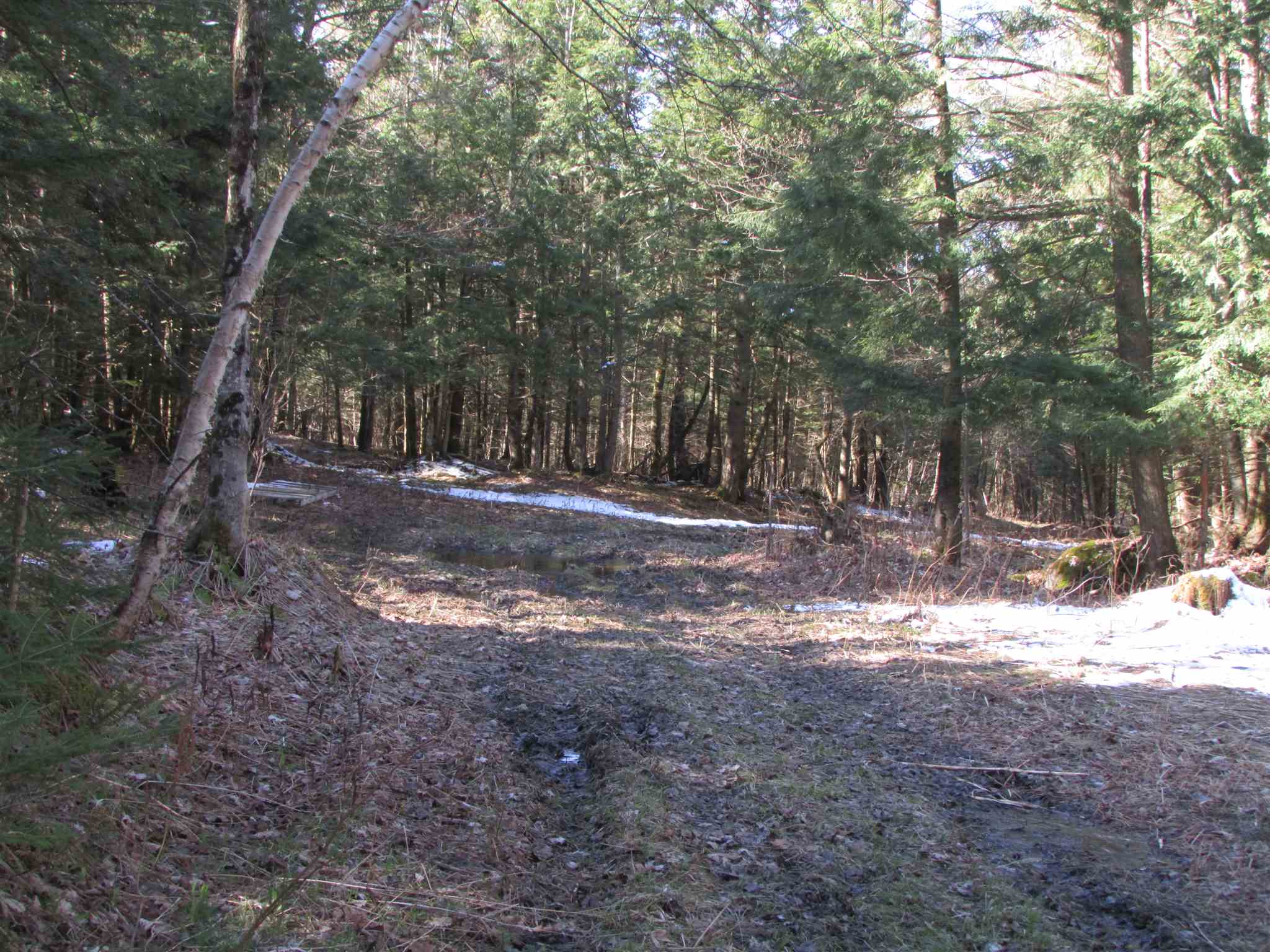 473 W Road Brownington, VT 05860 - Photo 6 of 20