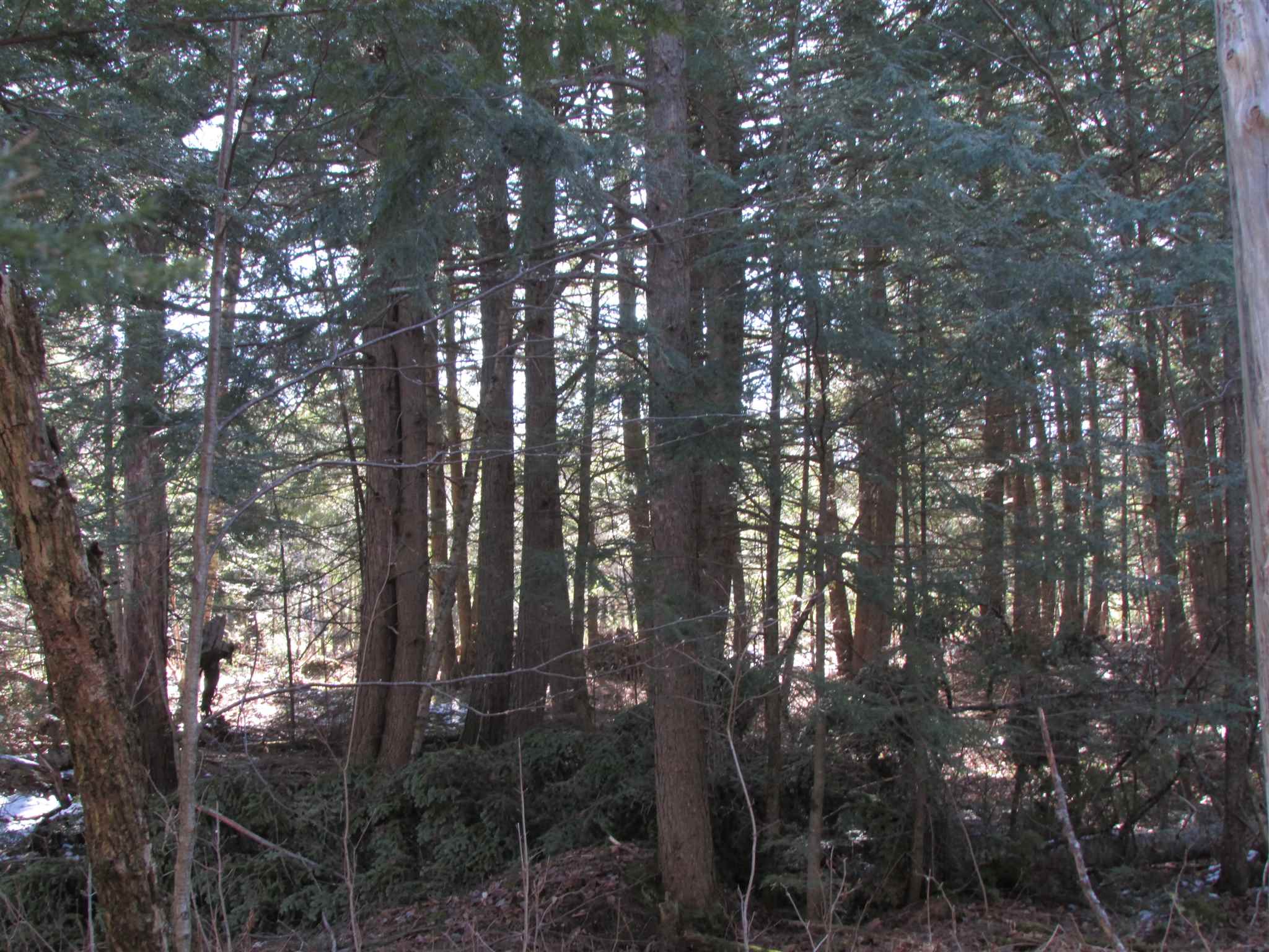 473 W Road Brownington, VT 05860 - Photo 8 of 20