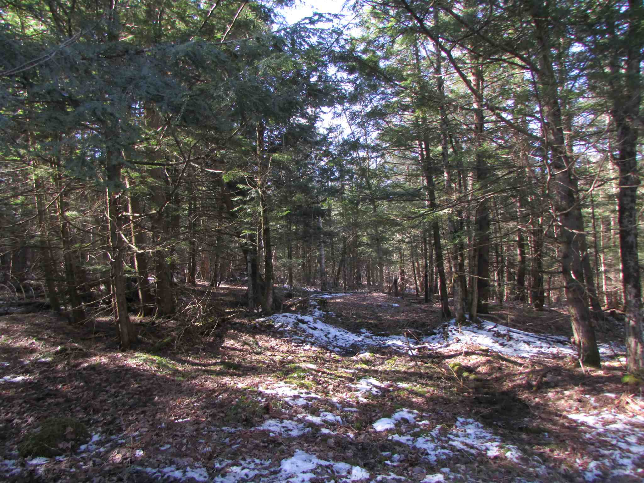 473 W Road Brownington, VT 05860 - Photo 9 of 20